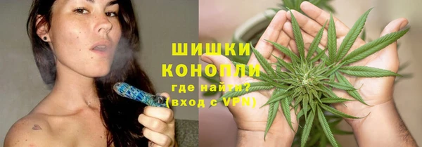 сатива Армянск
