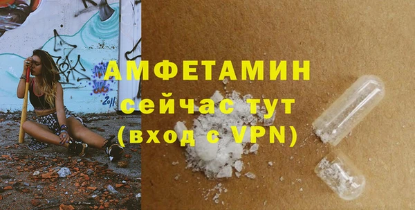 сатива Армянск