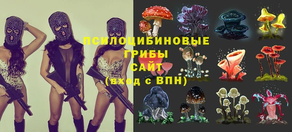герыч Аркадак