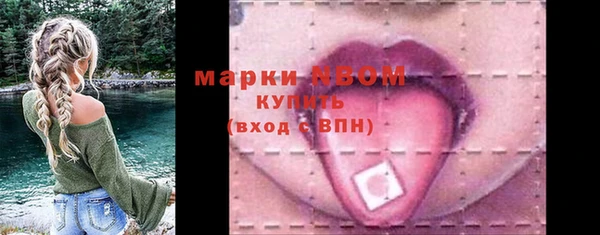 сатива Армянск