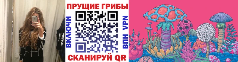 Купить закладки  Нарткала  Галлюциногенные грибы MAGIC MUSHROOMS 